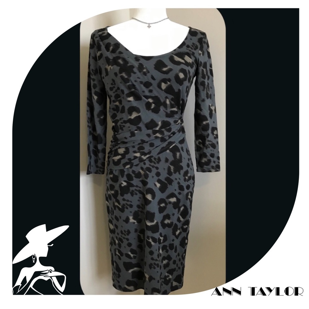 NWT🌟Dress ANN TAYLOR SZ XS